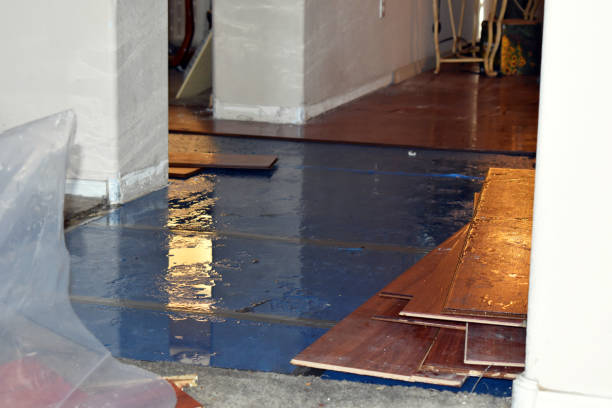 Professional Basement Water Removal technician working in Orgas, WV